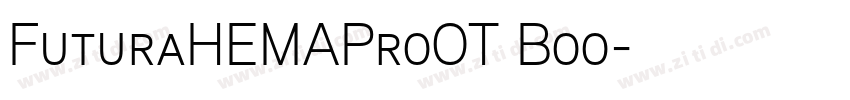 FuturaHEMAProOT Boo字体转换